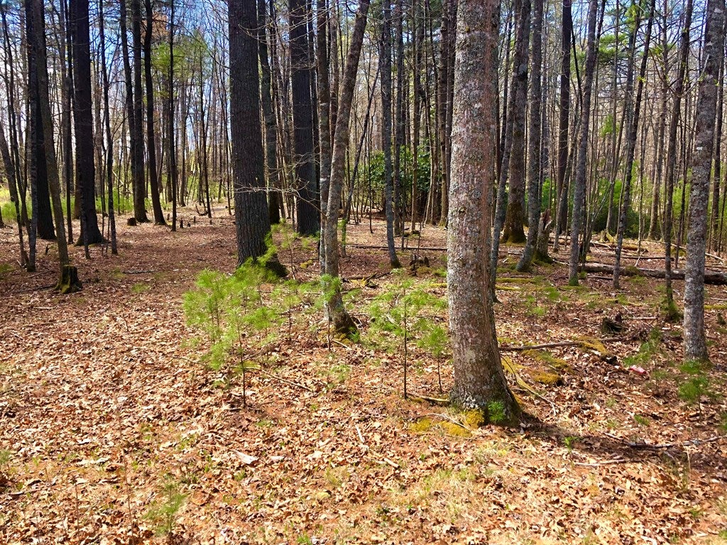 Tbd Millstone Road, Unit 16 Woodlawn, VA 24381 - Photo 11 of 12 Gallery Image 11