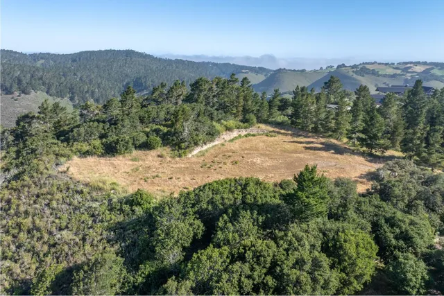 an aerial view of mountain and tree