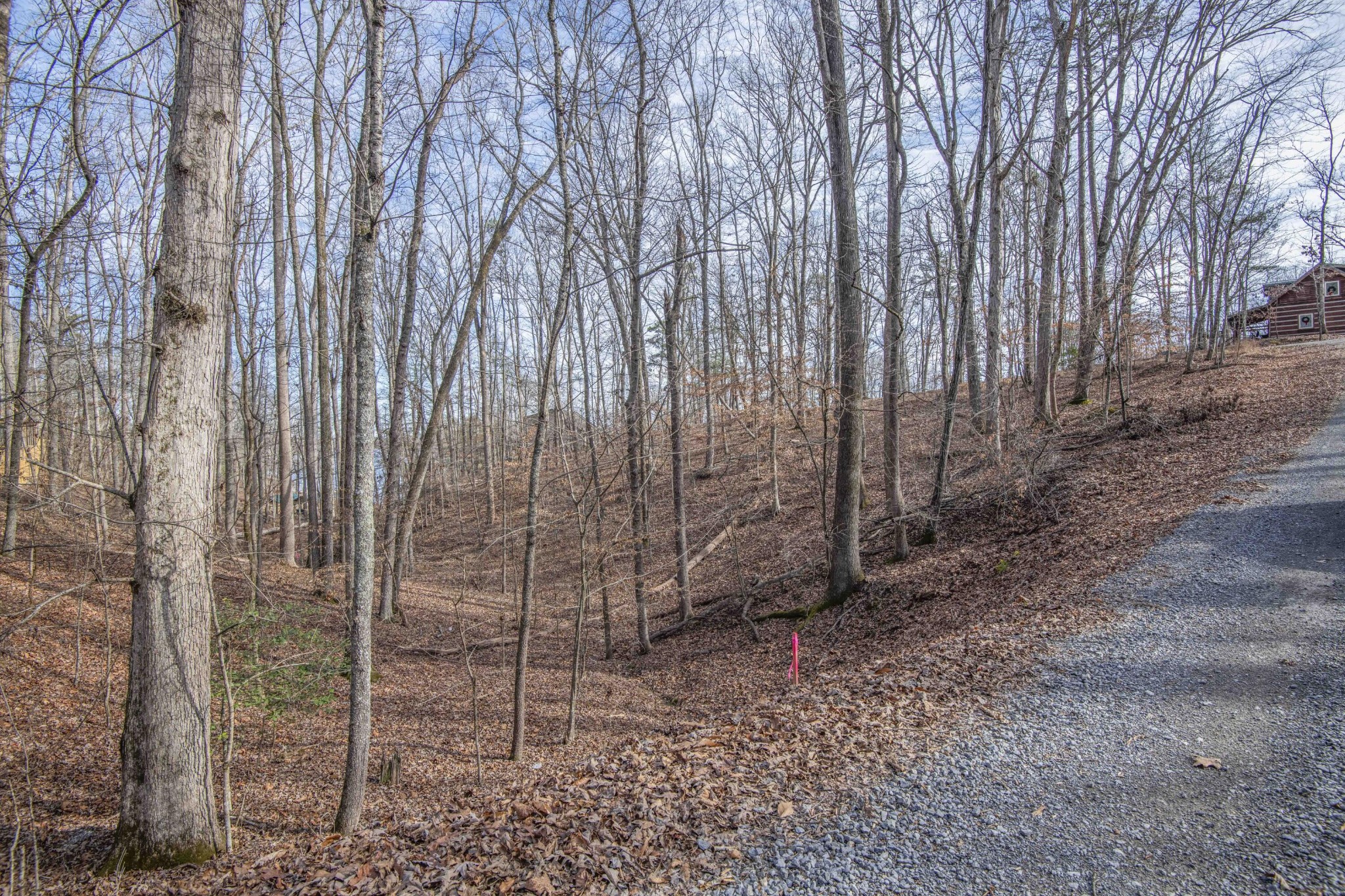 0 Sunset Court Spring City, TN 37381 - Photo 13 of 27 Gallery Image 13