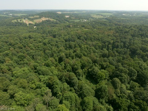 1047 Poinsettia Road Scio, OH 43988 - Photo 2 of 33 Aerial view of 117.56 acres