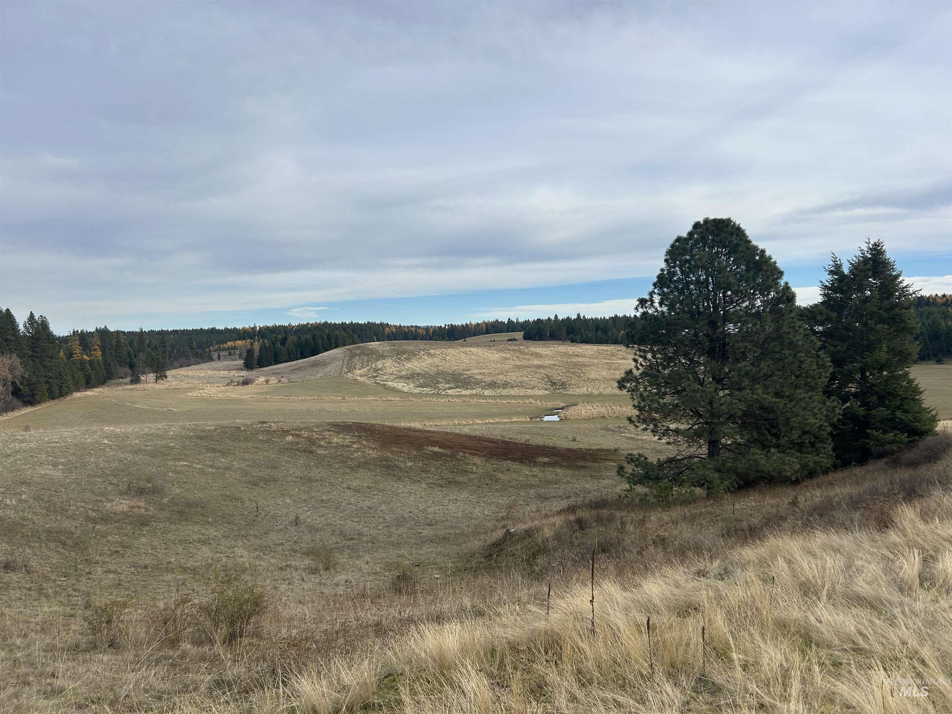 2521 Three Mile Road Weippe, ID 83553 - Photo 1 of 1 Gallery Image 1