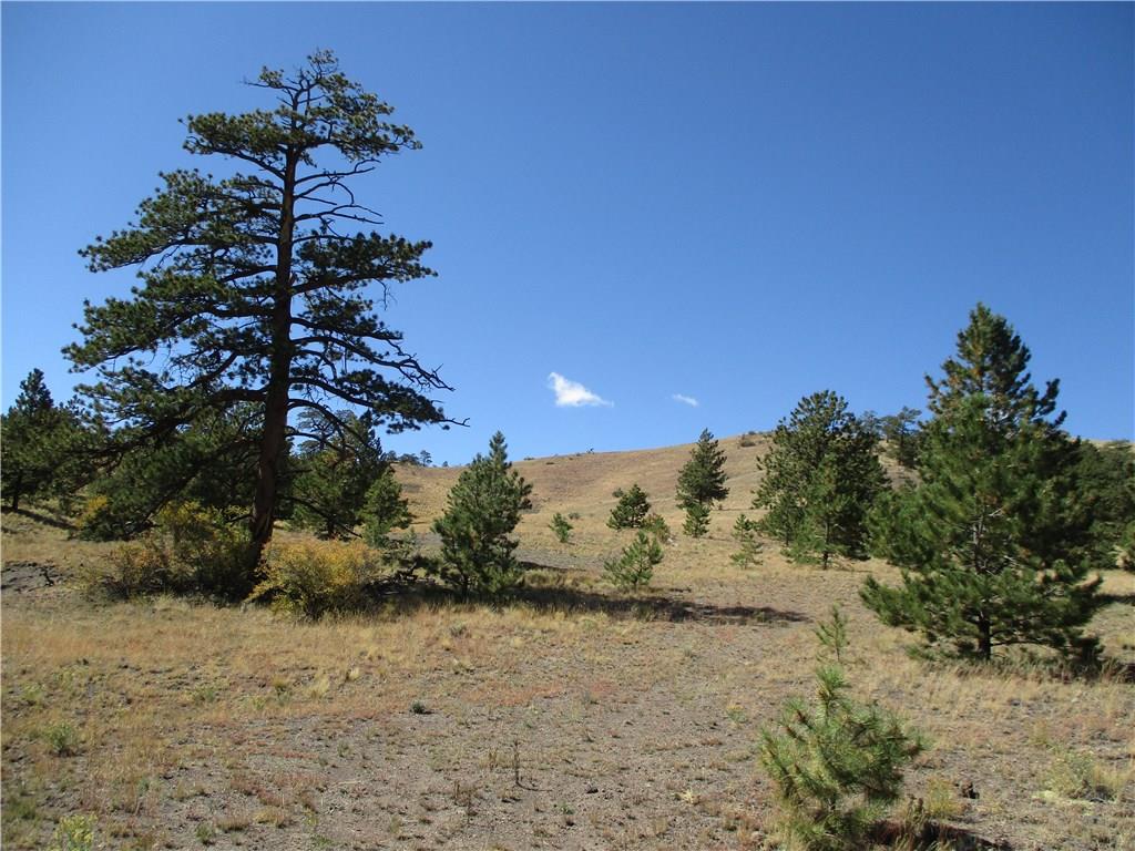 0 Keechi Road Hartsel, CO 80449 - Photo 14 of 20 a view of a dry yard with a tree
