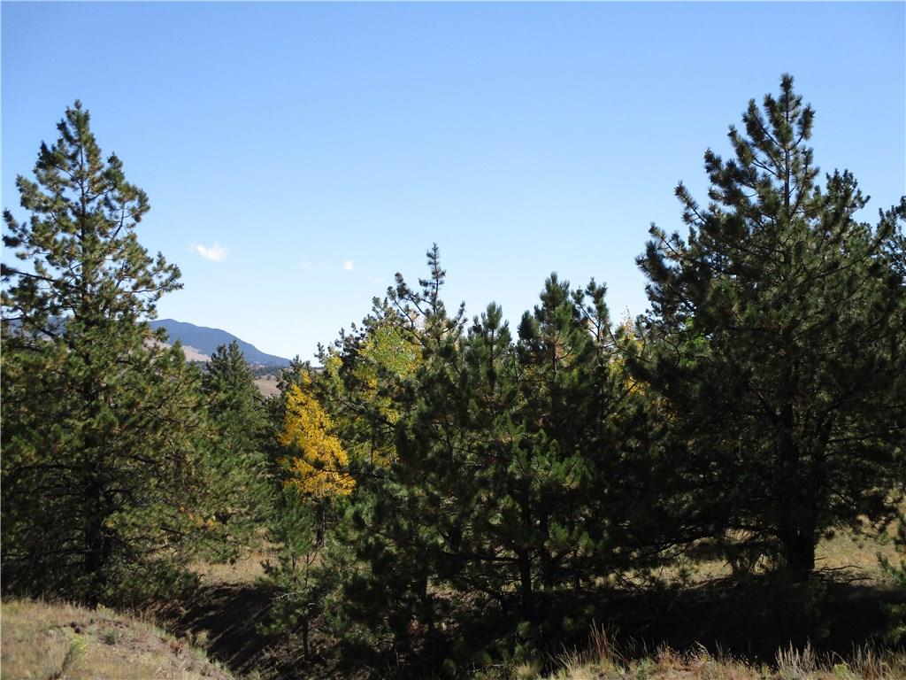 0 Keechi Road Hartsel, CO 80449 - Photo 8 of 20