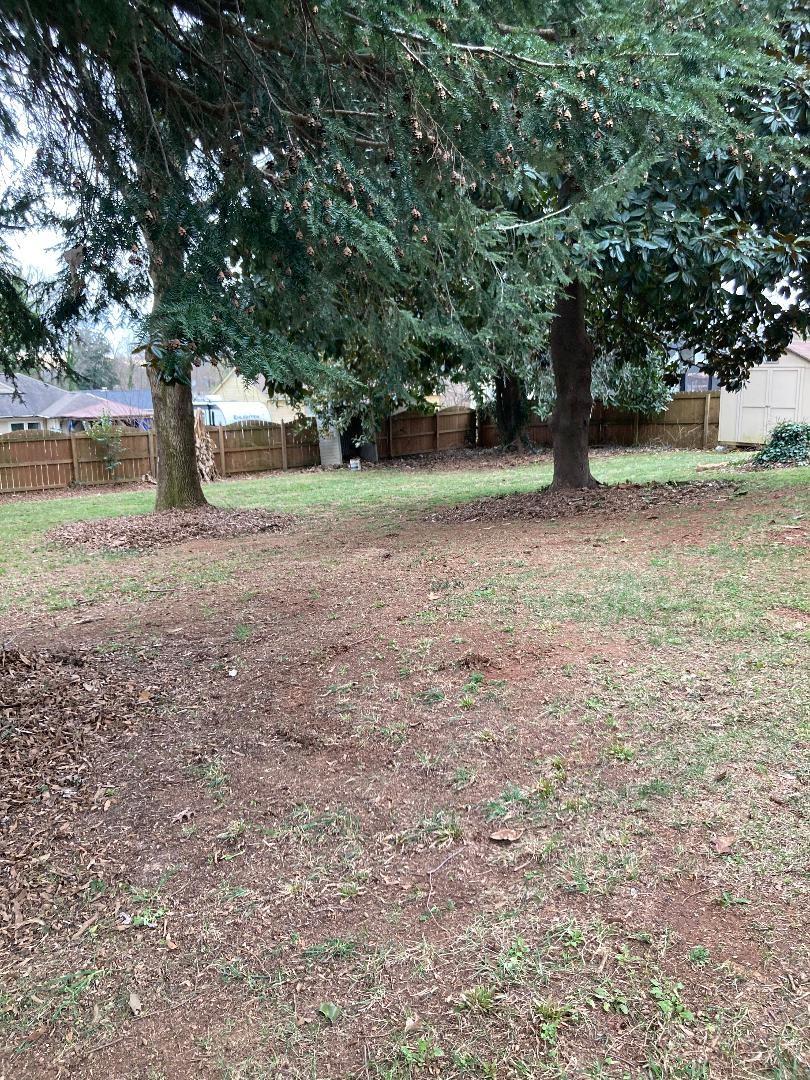 7530 Riding Trail Road Charlotte, NC 28212 - Photo 20 of 20 a view of a yard with a tree