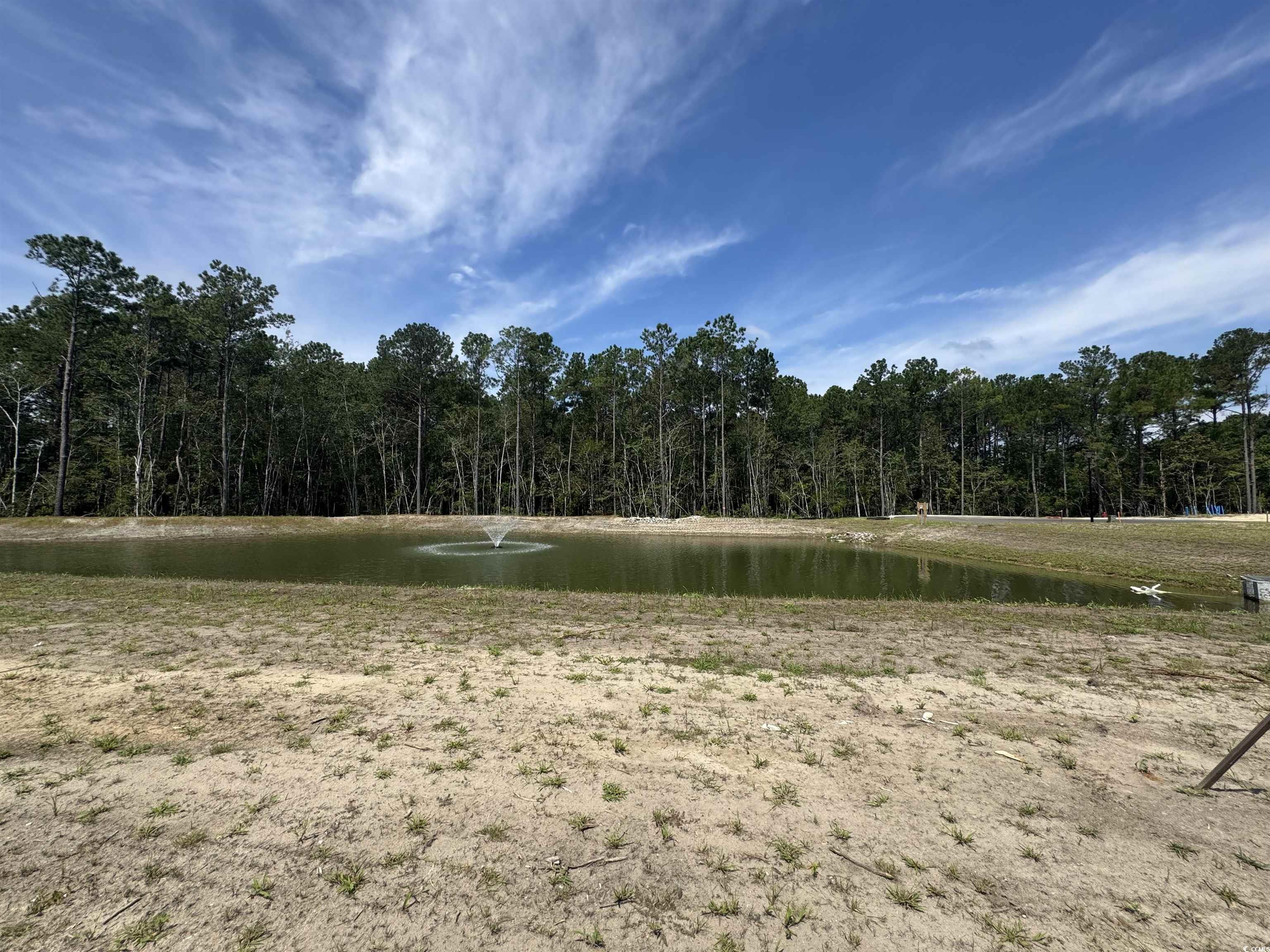471 Ireland Way, Unit 803 Murrells Inlet, SC 29576 - Photo 21 of 23 Surrounding community featuring a water view and a forest view