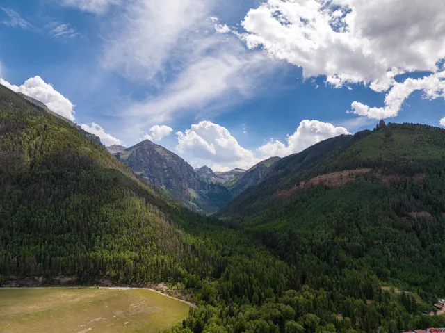 a view of a big yard of the house