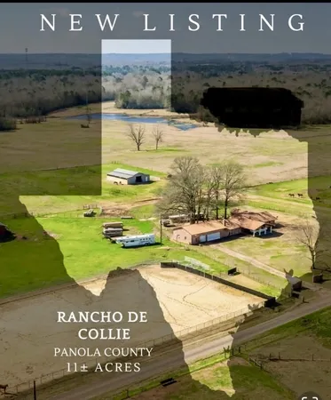 $675,000 | 511 County Road 161, Long Branch, TX 75669