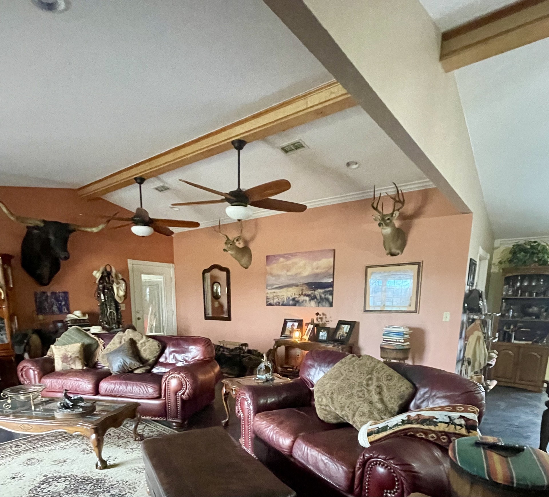 511 County Road 161 Long Branch, TX 75669 - Photo 21 of 32 a living room with furniture and a window