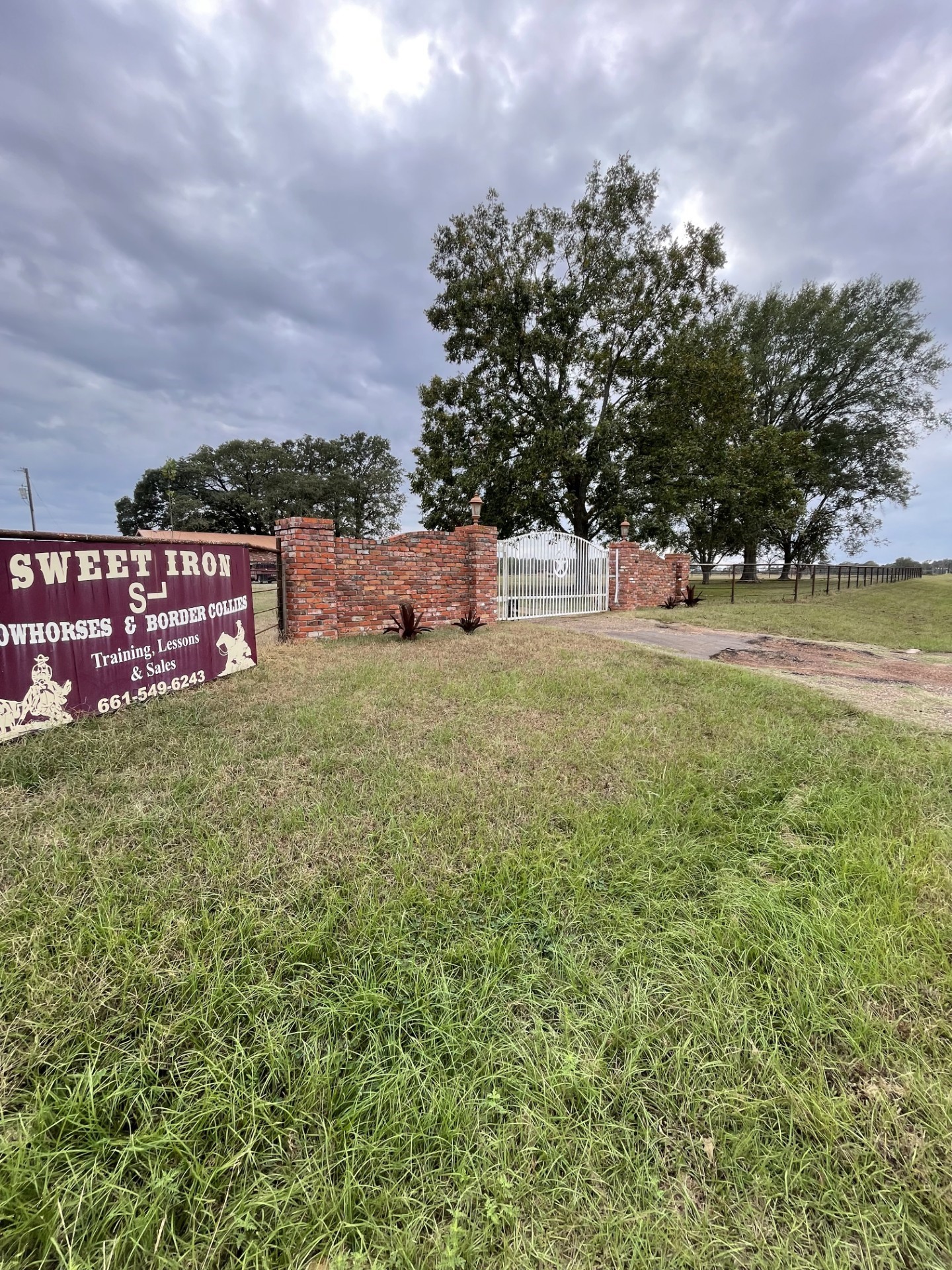 511 County Road 161 Long Branch, TX 75669 - Photo 27 of 32 a view of a yard with an outdoor space