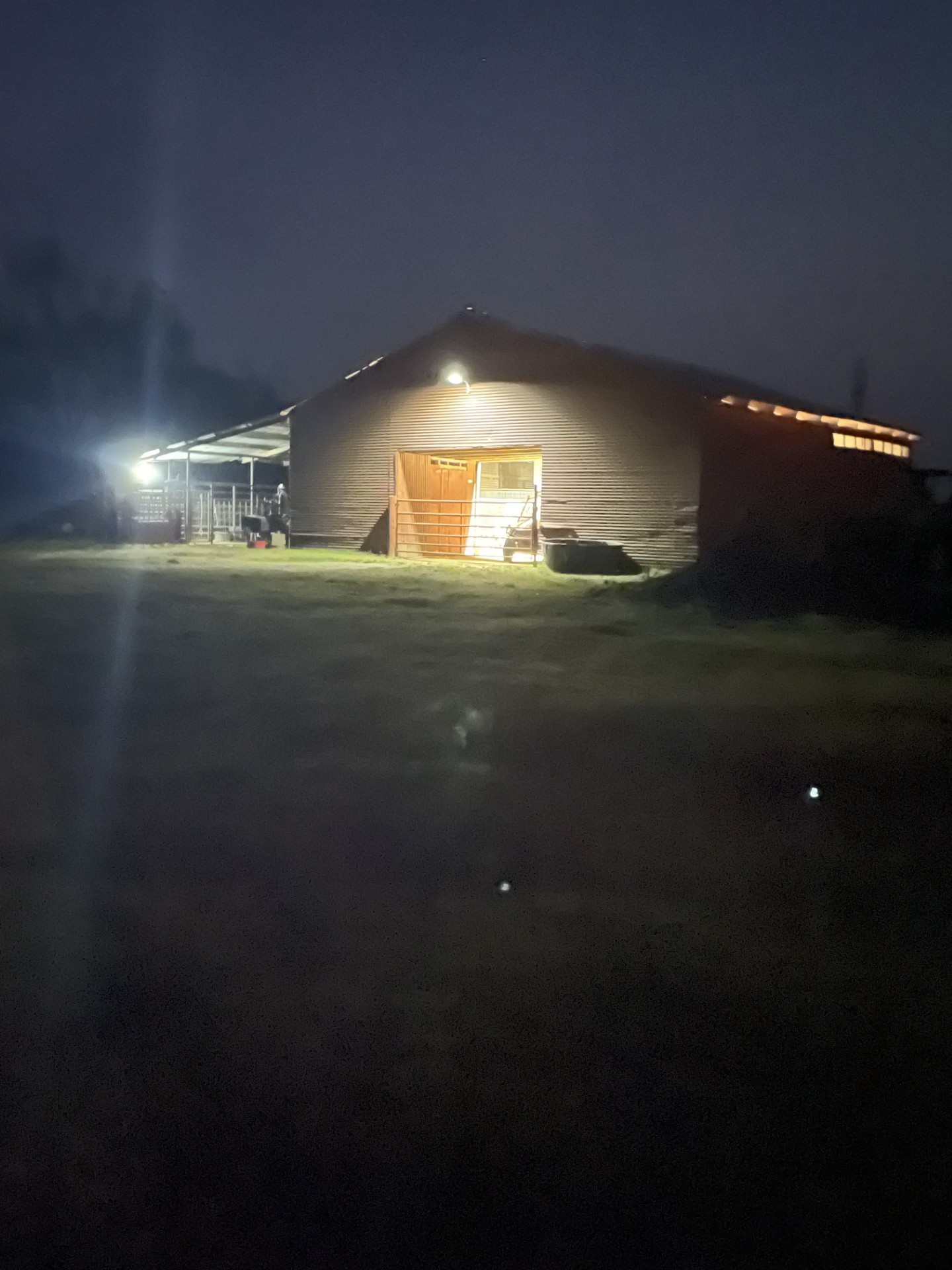 511 County Road 161 Long Branch, TX 75669 - Photo 29 of 32 a view of empty room with yard and screen