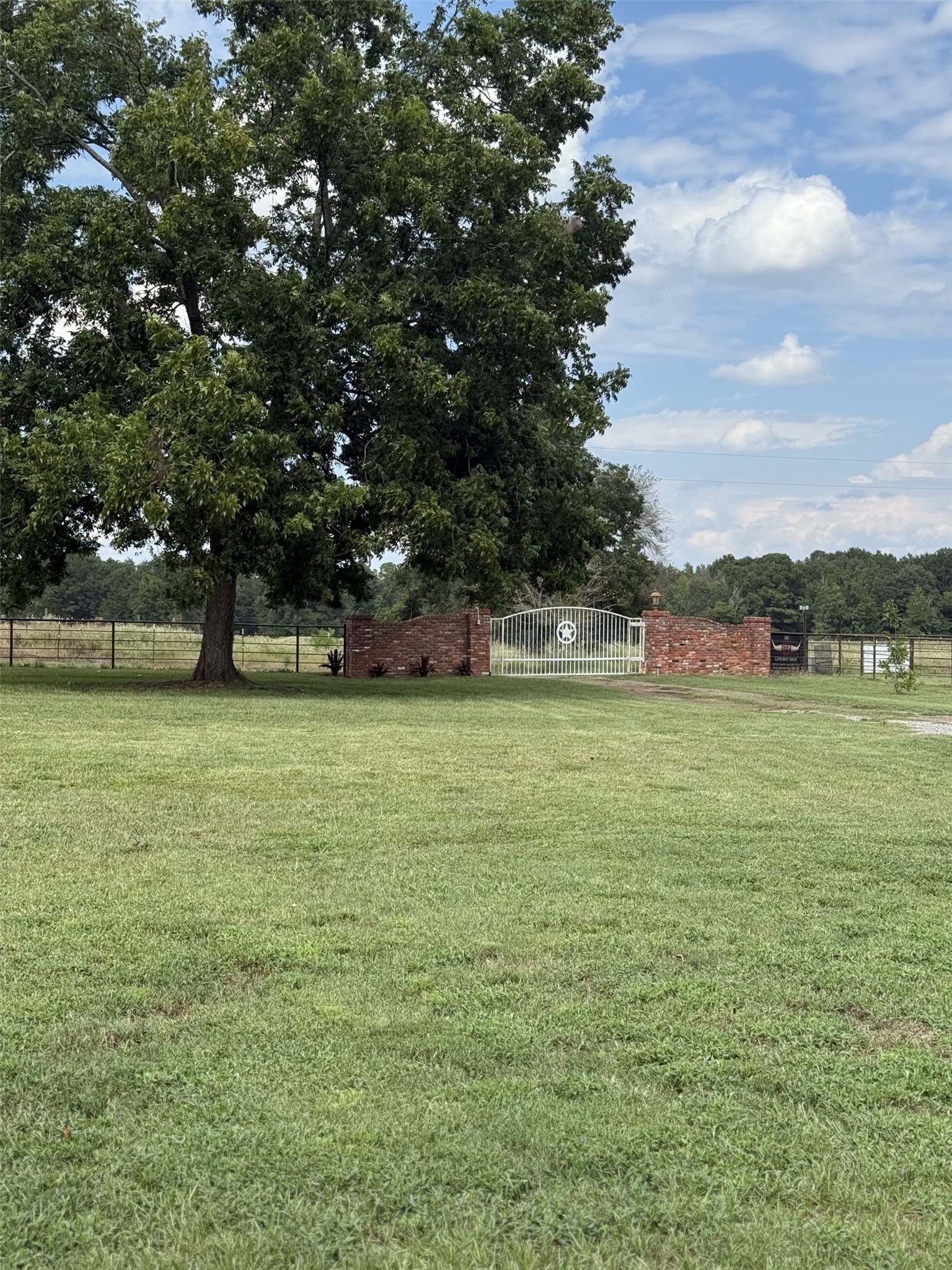 511 County Road 161 Long Branch, TX 75669 - Photo 3 of 32 a view of outdoor space with green field and trees
