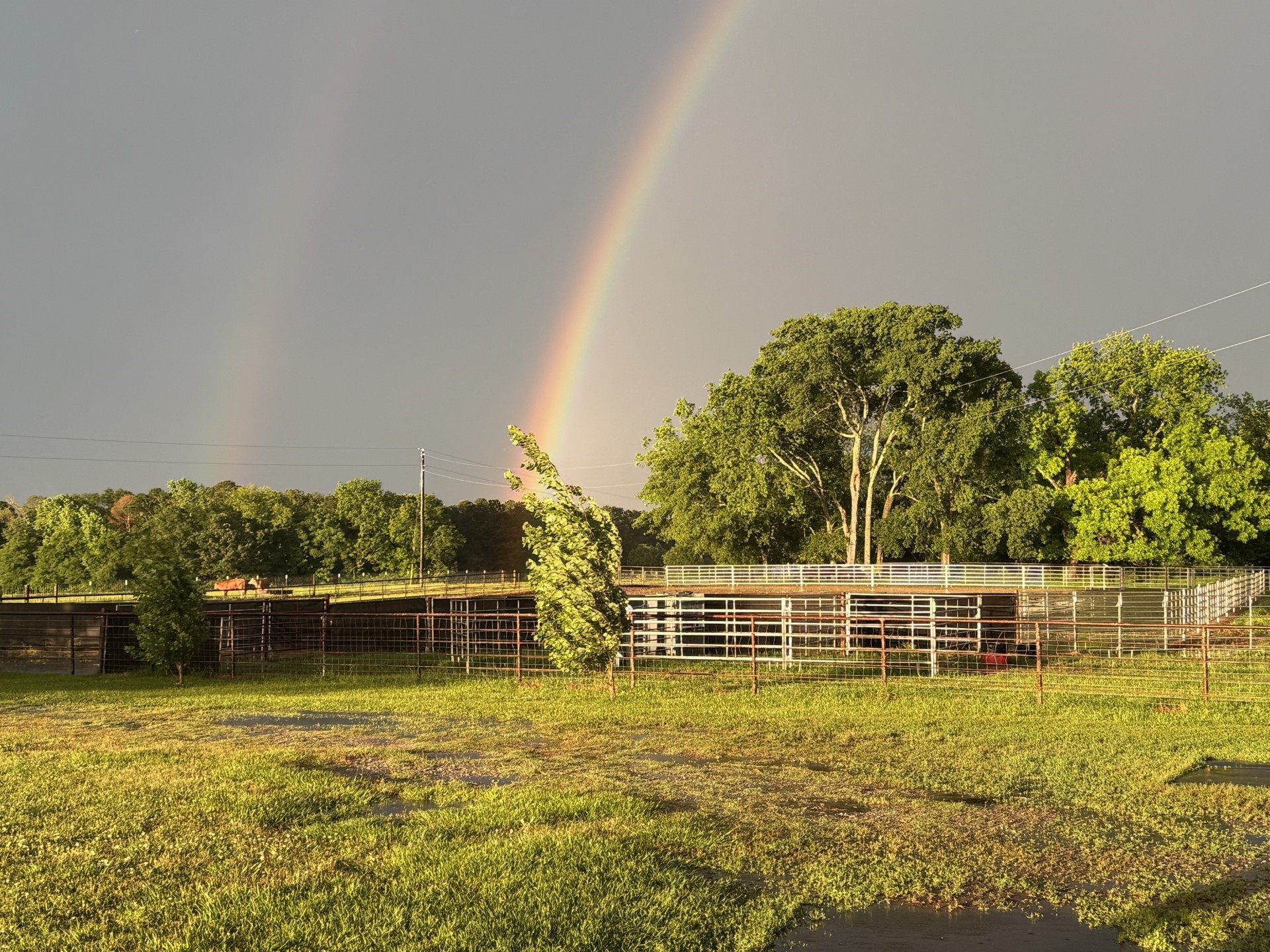511 County Road 161 Long Branch, TX 75669 - Photo 7 of 32 a view of a backyard with a garden