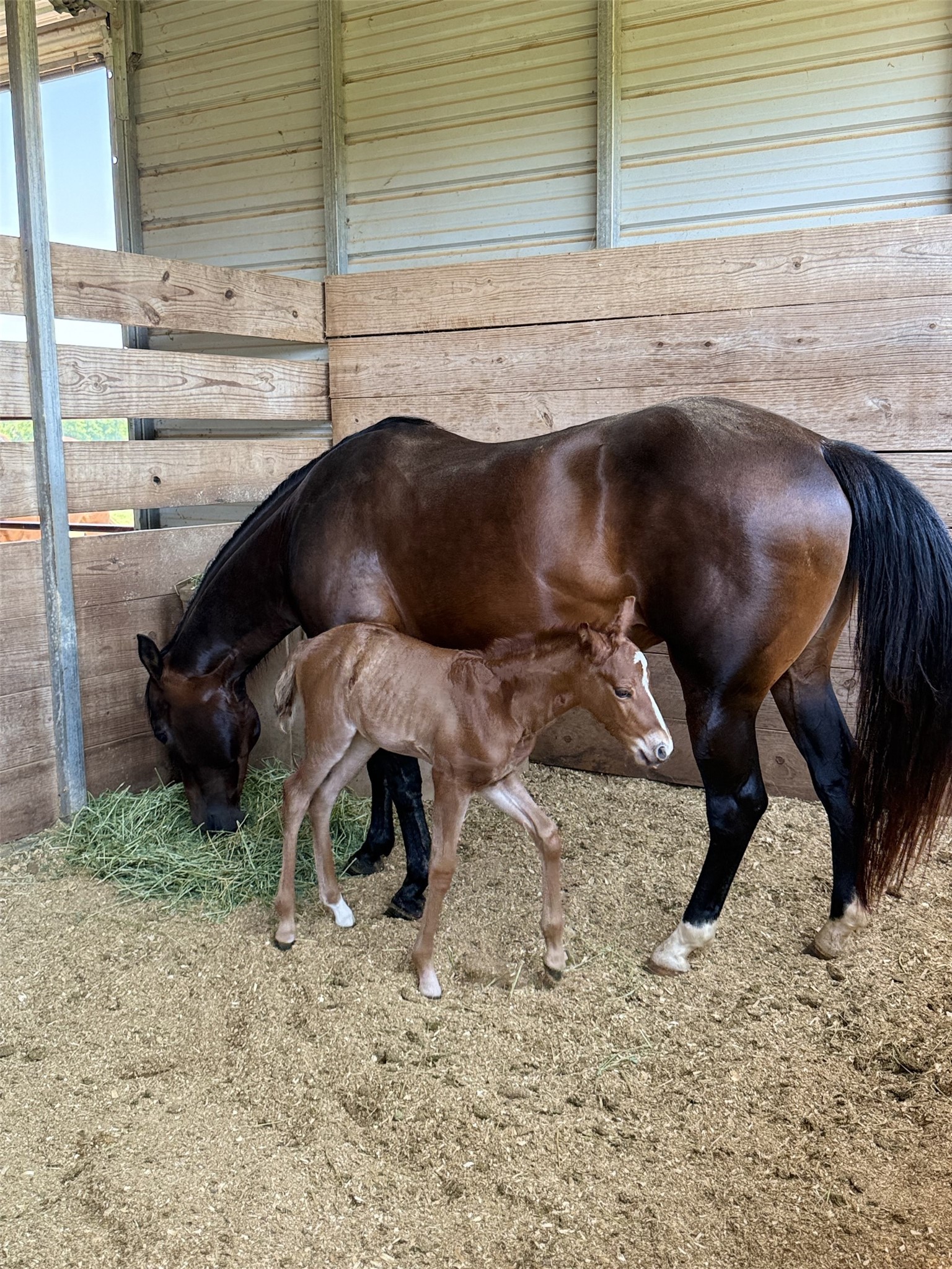 511 County Road 161 Long Branch, TX 75669 - Photo 9 of 32 a view of balcony with wooden floor