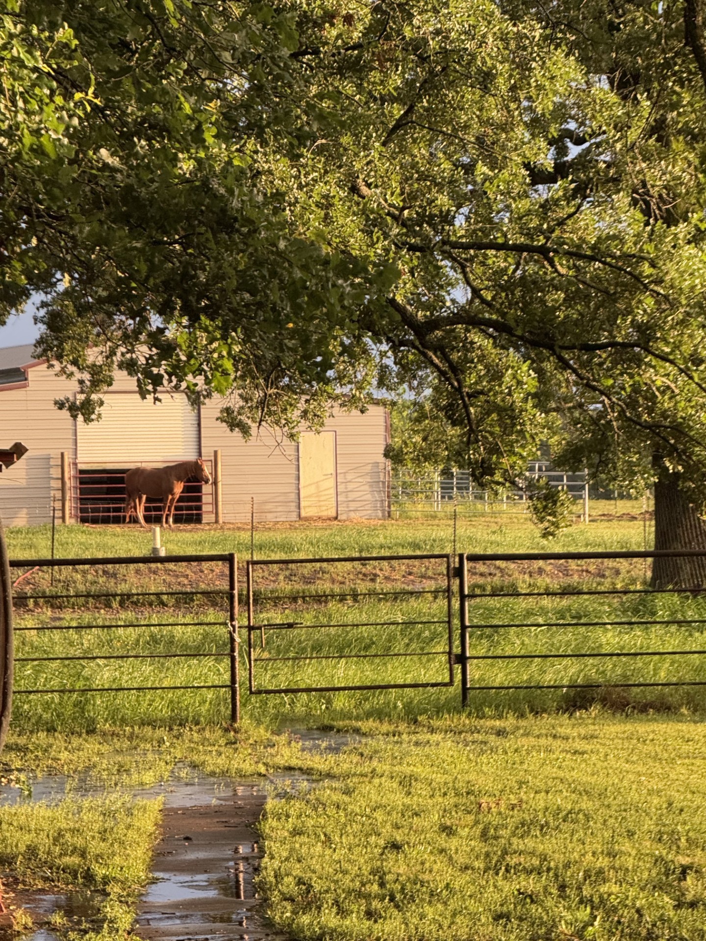 511 County Road 161 Long Branch, TX 75669 - Photo 10 of 32 a view of ocean view