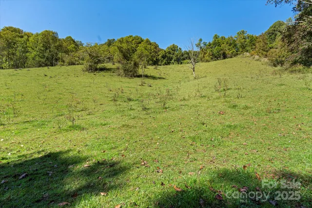 a view of a big yard with lots of green space