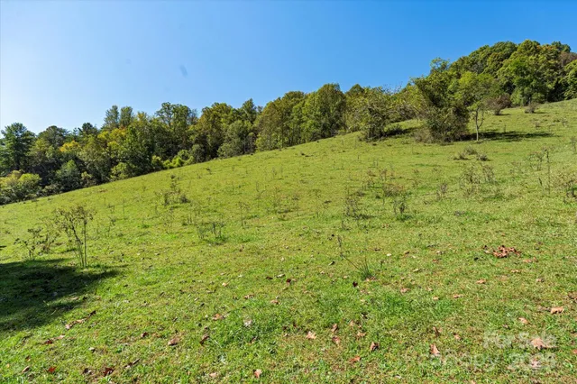 a view of a field with a tree in the background