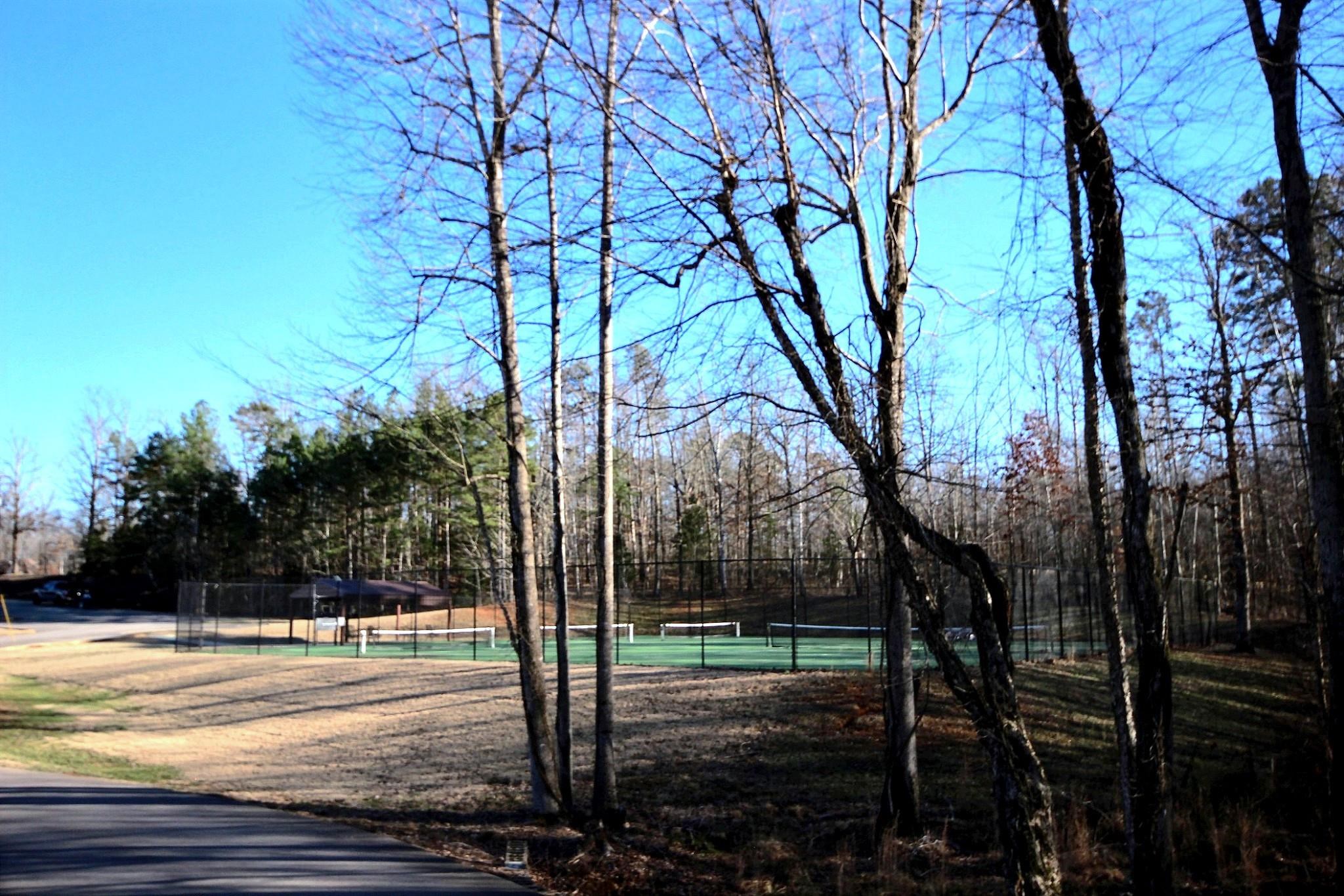 25 Dunhill Court Counce, TN 38326 - Photo 35 of 38 a view of a yard with a tree
