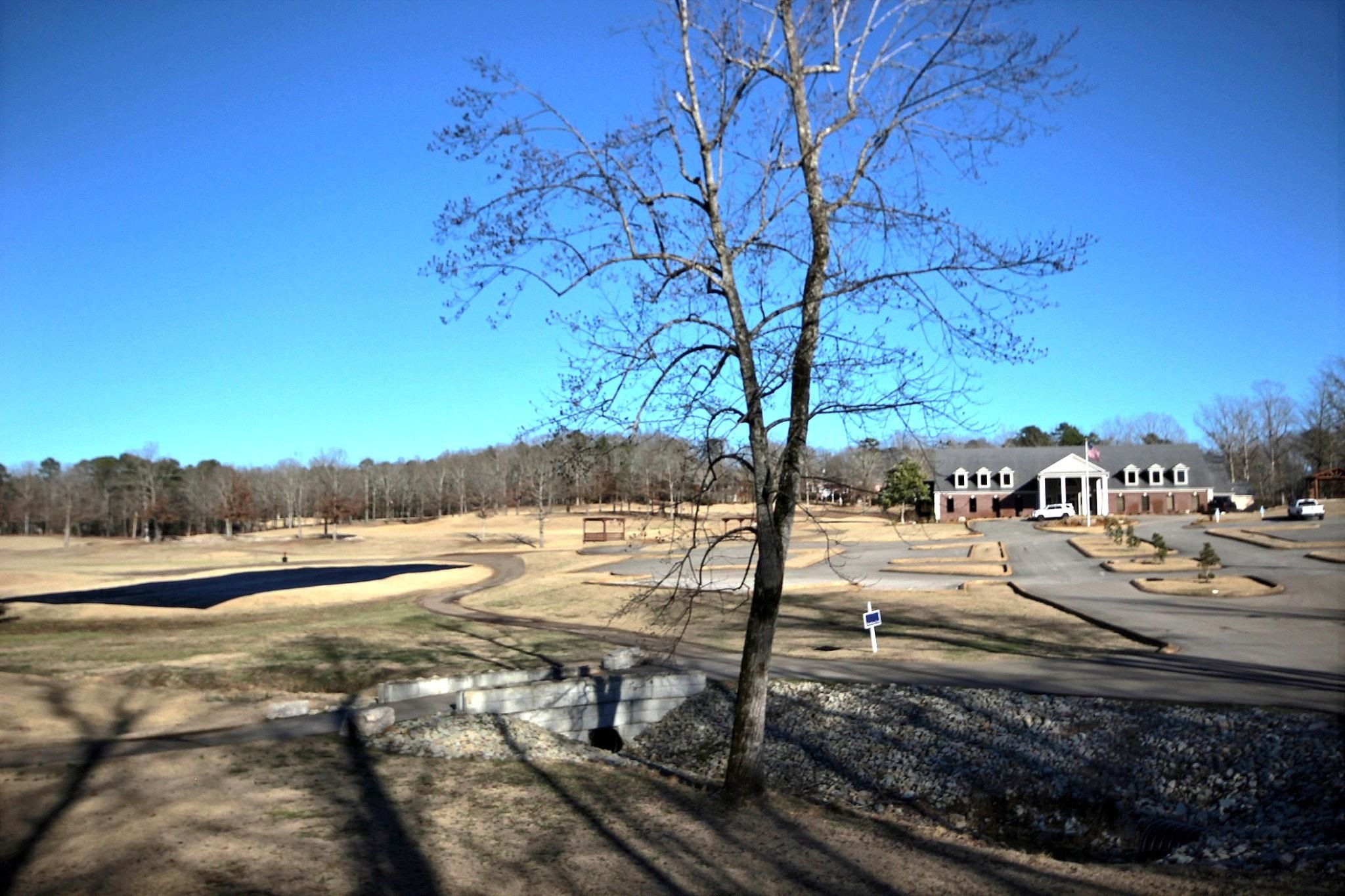 25 Dunhill Court Counce, TN 38326 - Photo 36 of 38 a view of a yard with an tree