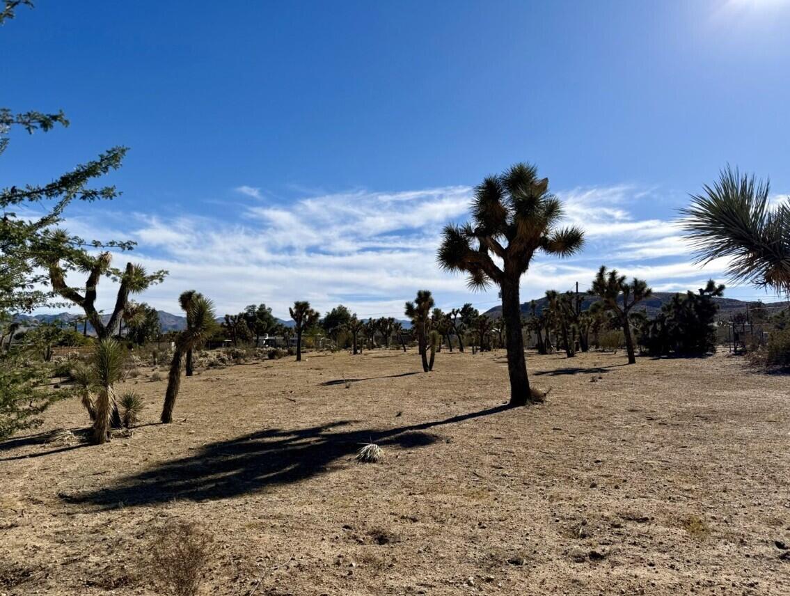 310 Sun Oro Road Yucca Valley, CA 92284 - Photo 18 of 20 a view of ocean view with beach