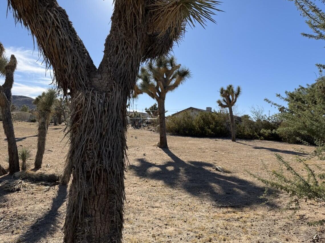 310 Sun Oro Road Yucca Valley, CA 92284 - Photo 19 of 20 a view of a yard