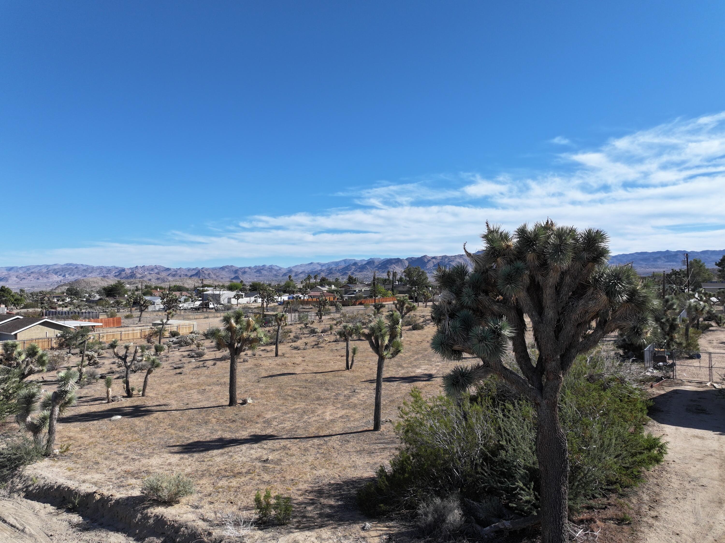 310 Sun Oro Road Yucca Valley, CA 92284 - Photo 6 of 20