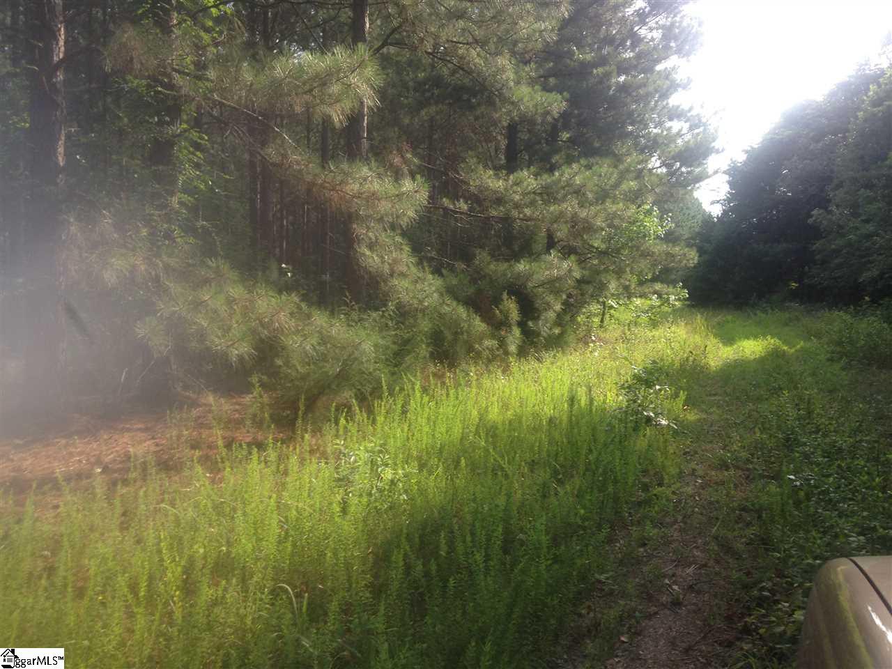 Flat Ruff Road Gray Court, SC 29645 - Photo 8 of 12 Gallery Image 8