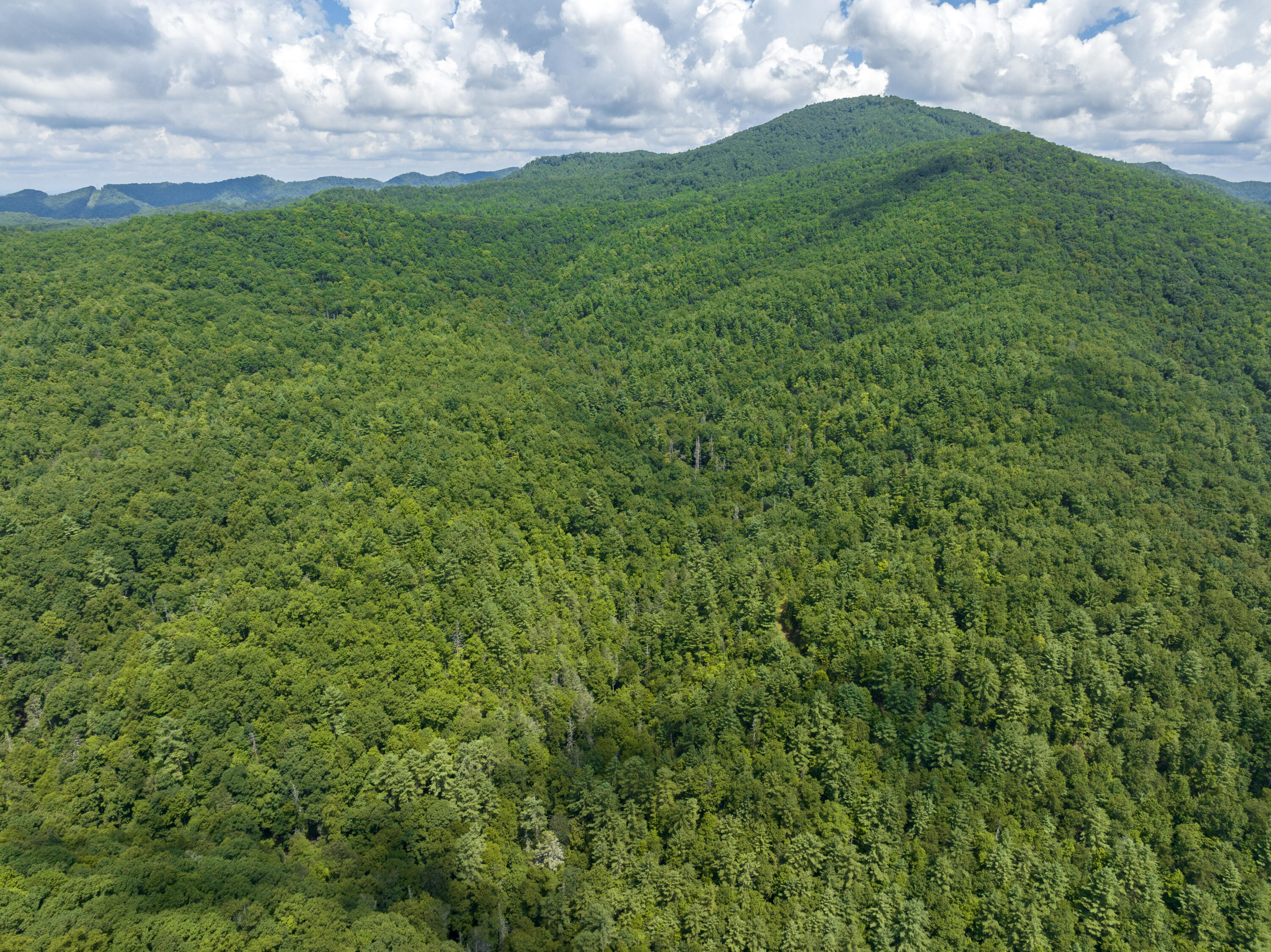 Tbd Pinnacle Road Unicoi, TN 37692 - Photo 29 of 32 Aerials-Pinnacle-4