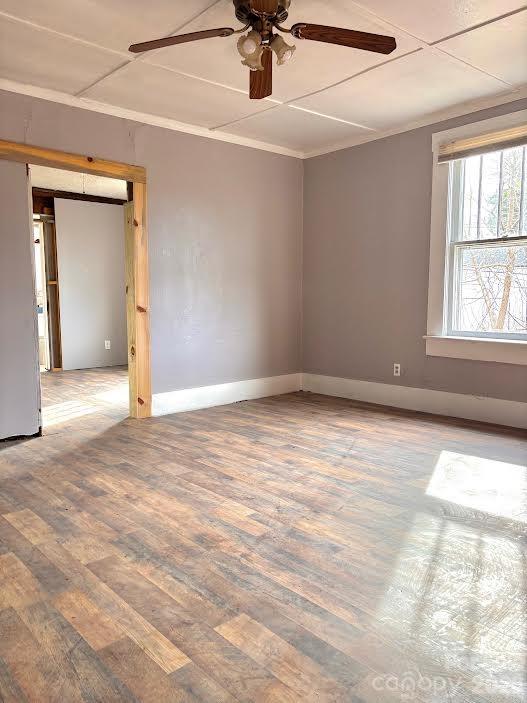 117 Lookout Road Asheville, NC 28804 - Photo 13 of 15 Gallery Image 13