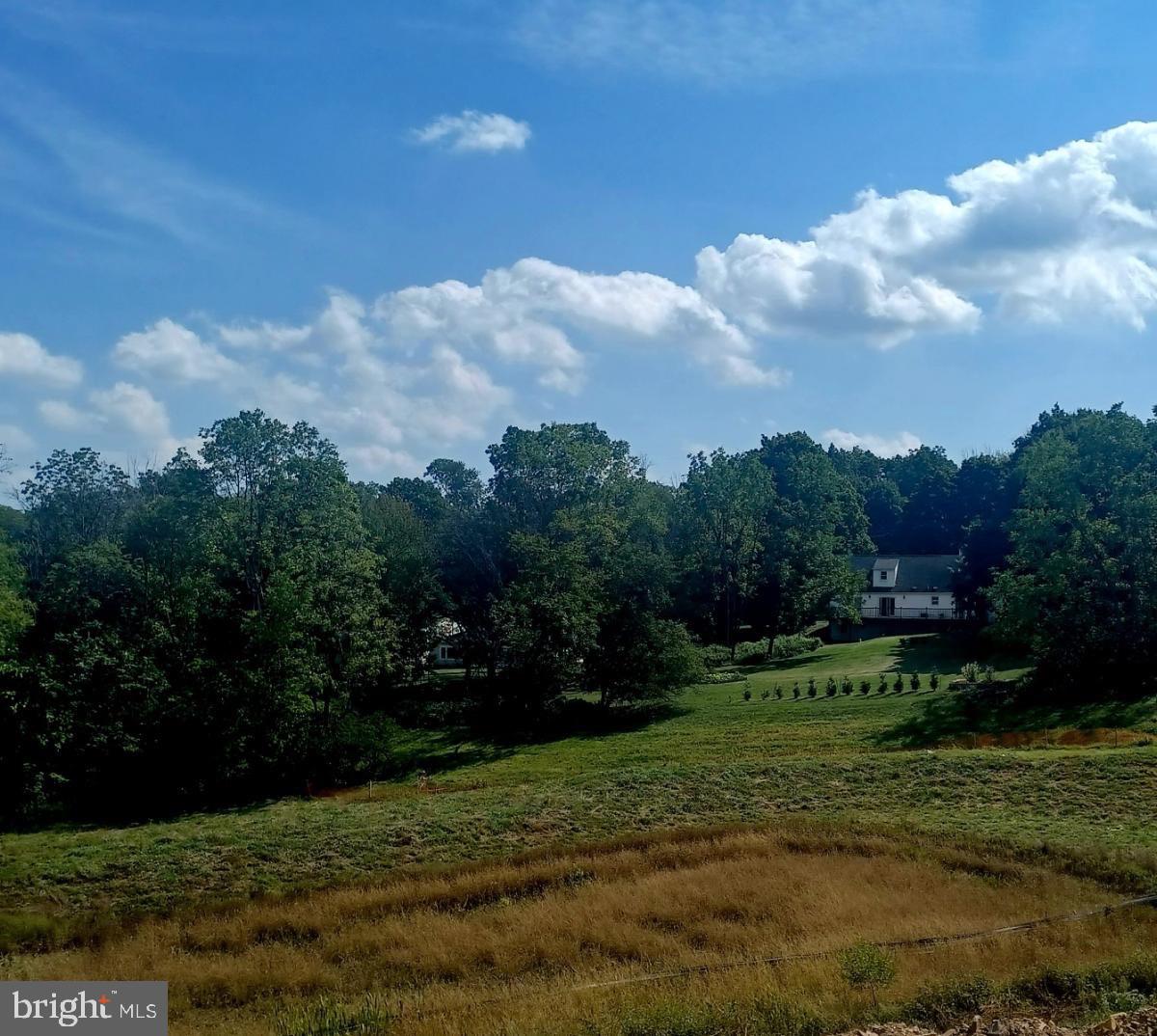 15 Tamarack Circle Eagleville, PA 19403 - Photo 12 of 12 View from deck