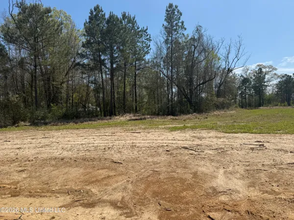 $36,900 | Lot 8 Oakley Lane, Lucedale, MS 39452