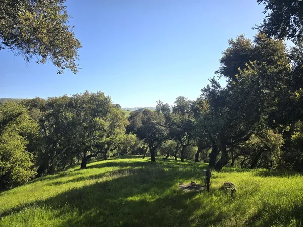 a view of a park