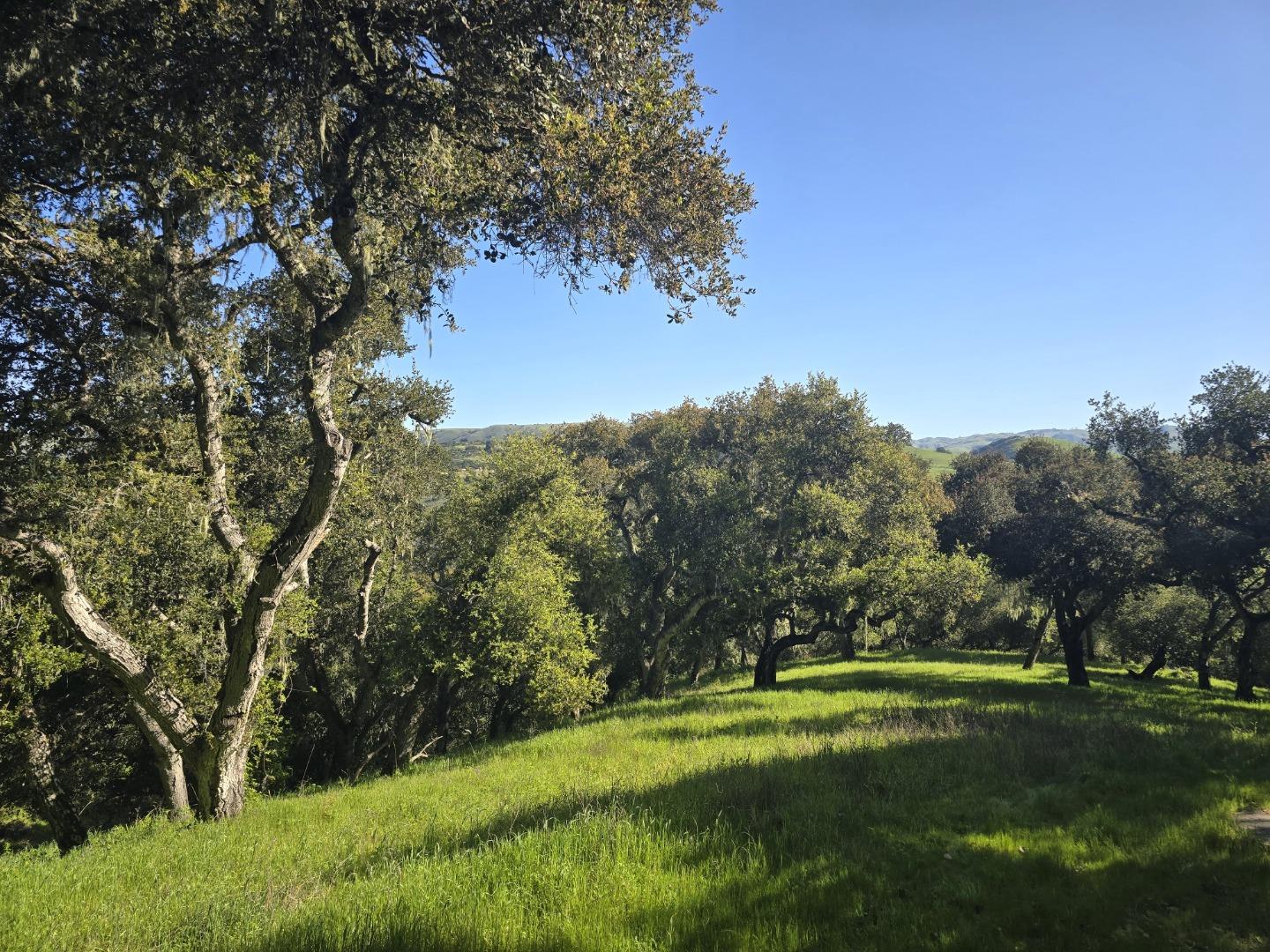 16 Sleepy Hollow Drive Carmel Valley, CA 93924 - Photo 16 of 27 a view of a field of grass and trees