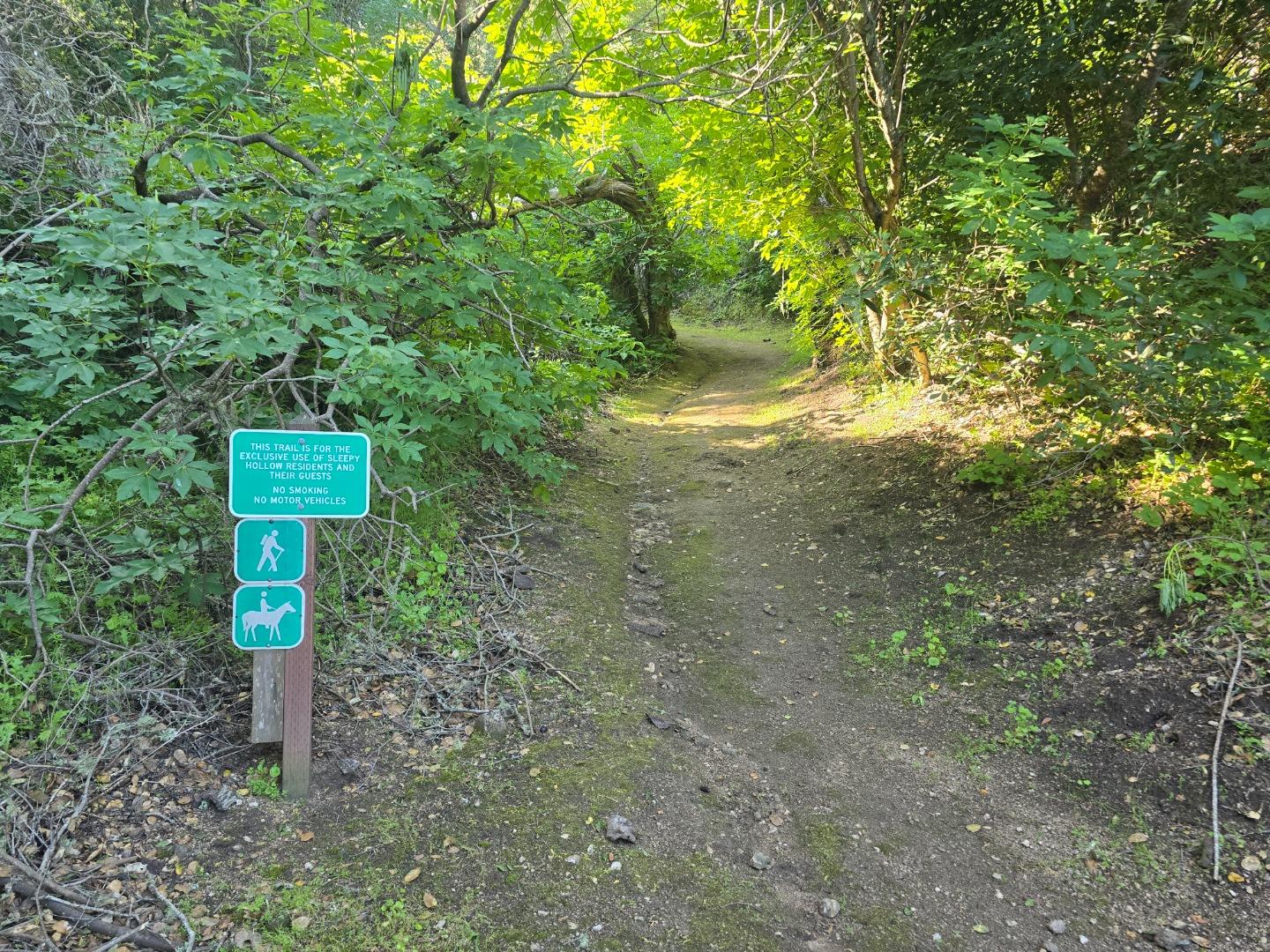 16 Sleepy Hollow Drive Carmel Valley, CA 93924 - Photo 19 of 27 a green field with trees in the background