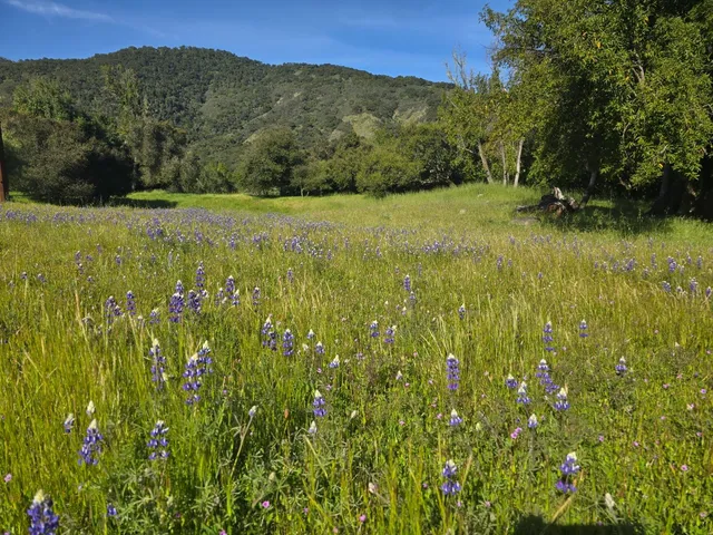 a view of an outdoor space and a yard
