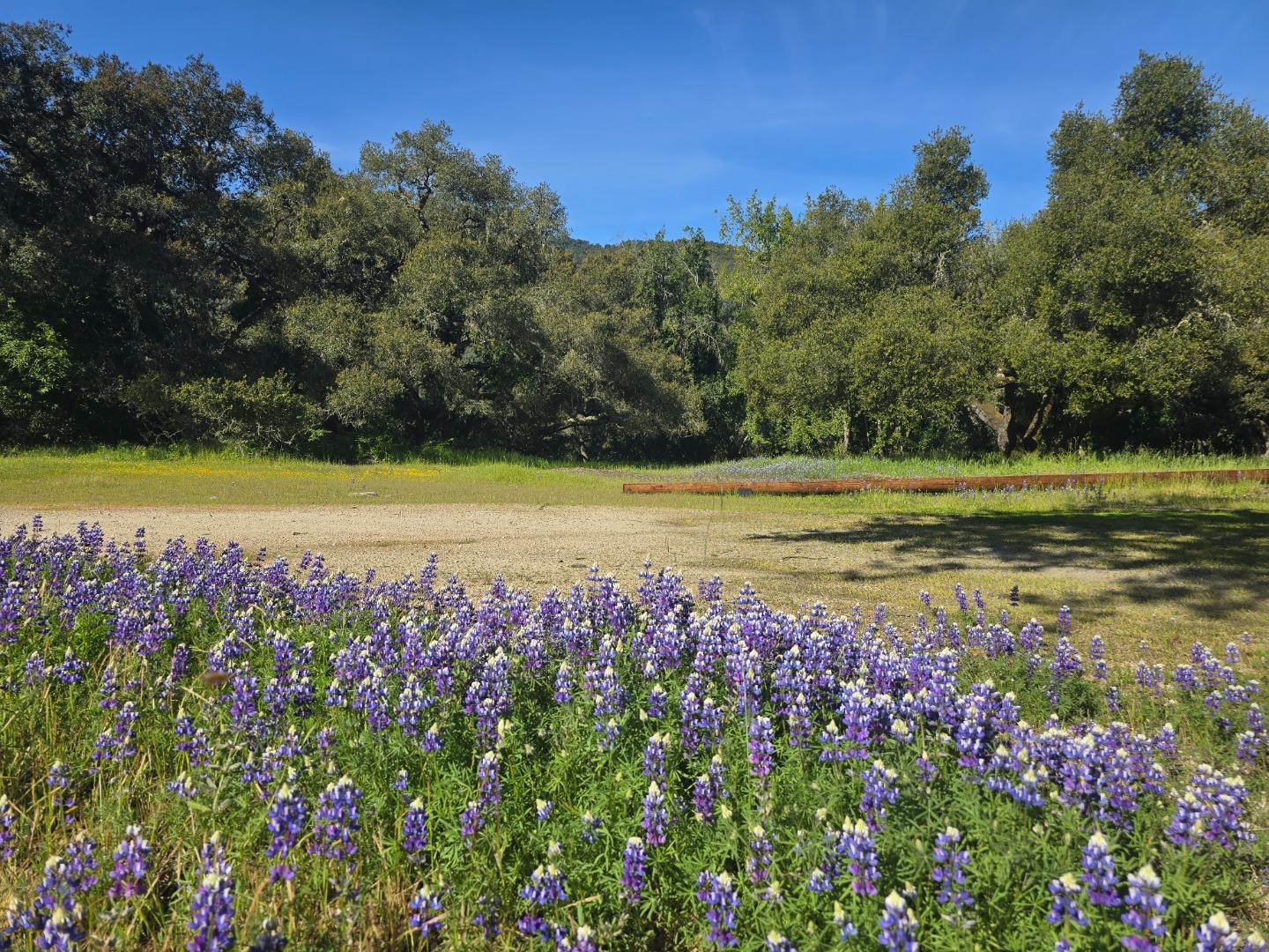 16 Sleepy Hollow Drive Carmel Valley, CA 93924 - Photo 27 of 27 a view of an outdoor space and a yard