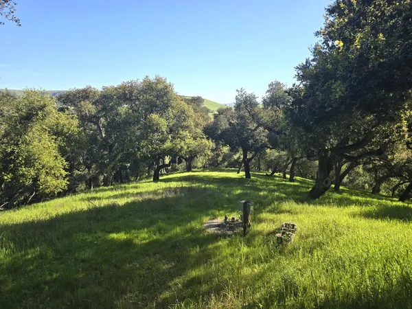 a view of a park