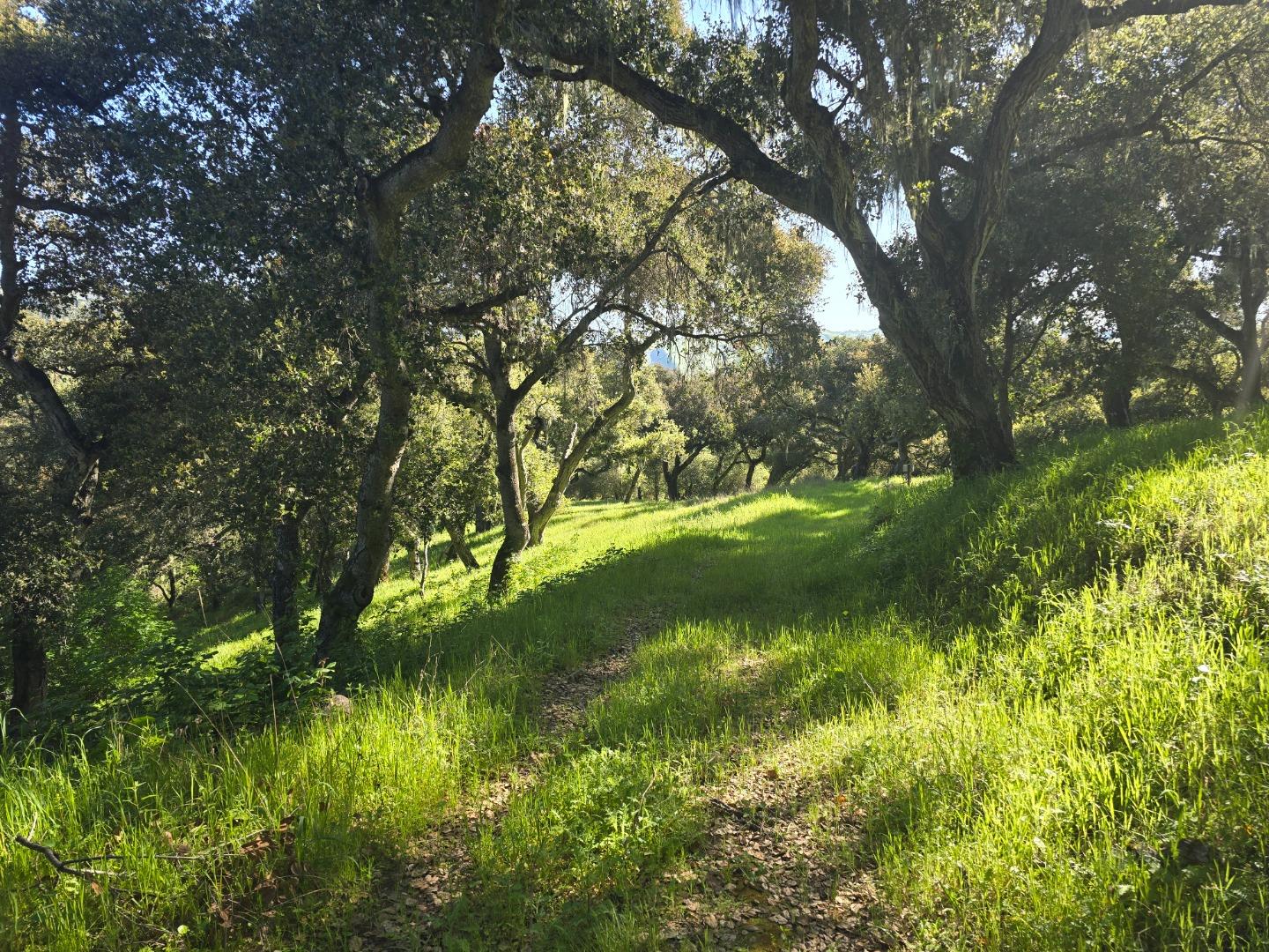 16 Sleepy Hollow Drive Carmel Valley, CA 93924 - Photo 6 of 27 a view of lake background with tree