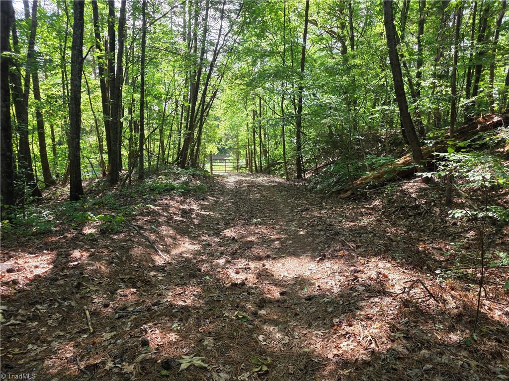 Xx 31.85-ac Xx 31.85-ac Hampton Road Germanton, NC 27019 - Photo 33 of 33