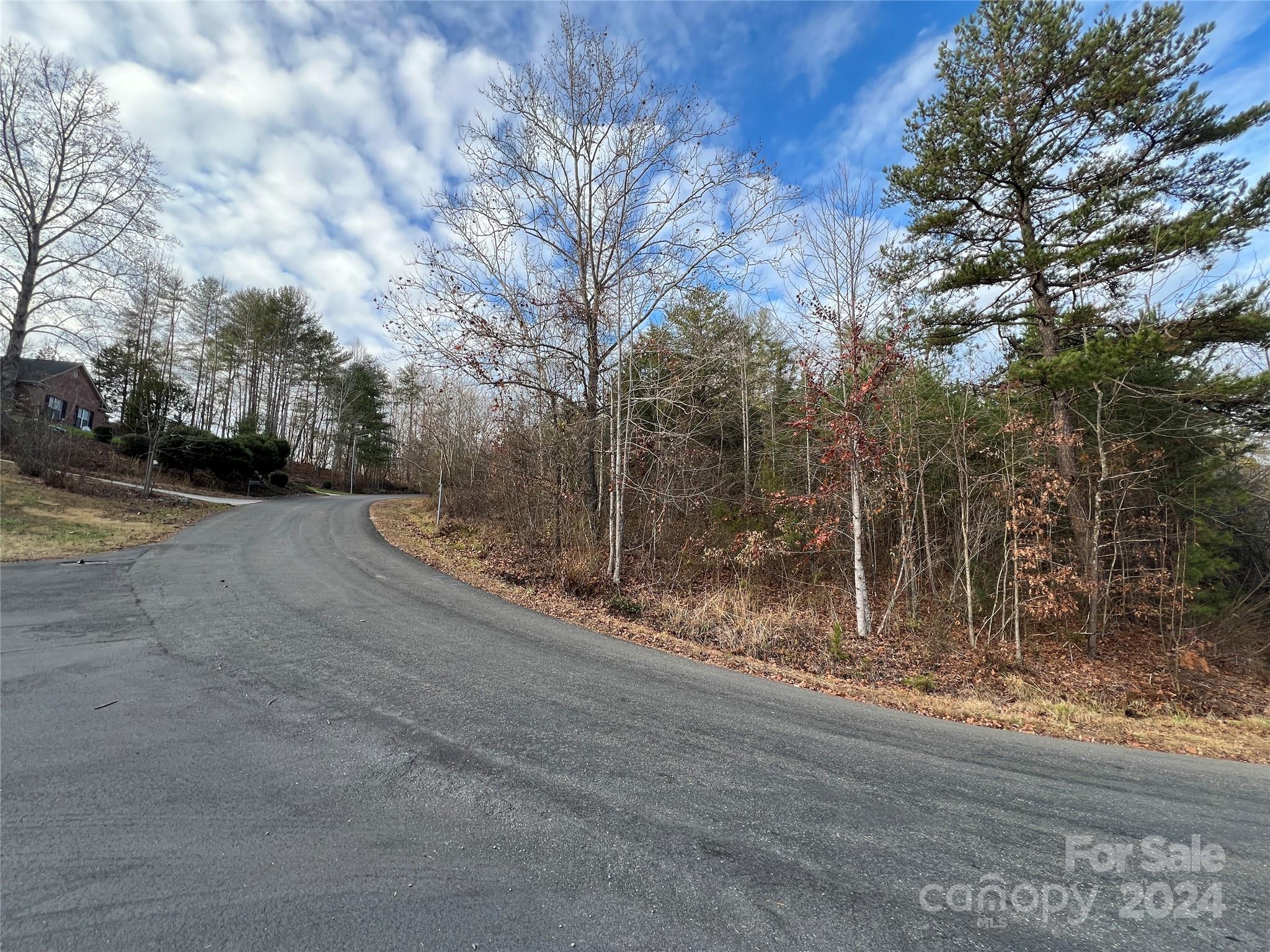 309 Georgetown Road Lenoir, NC 28645 - Photo 2 of 8