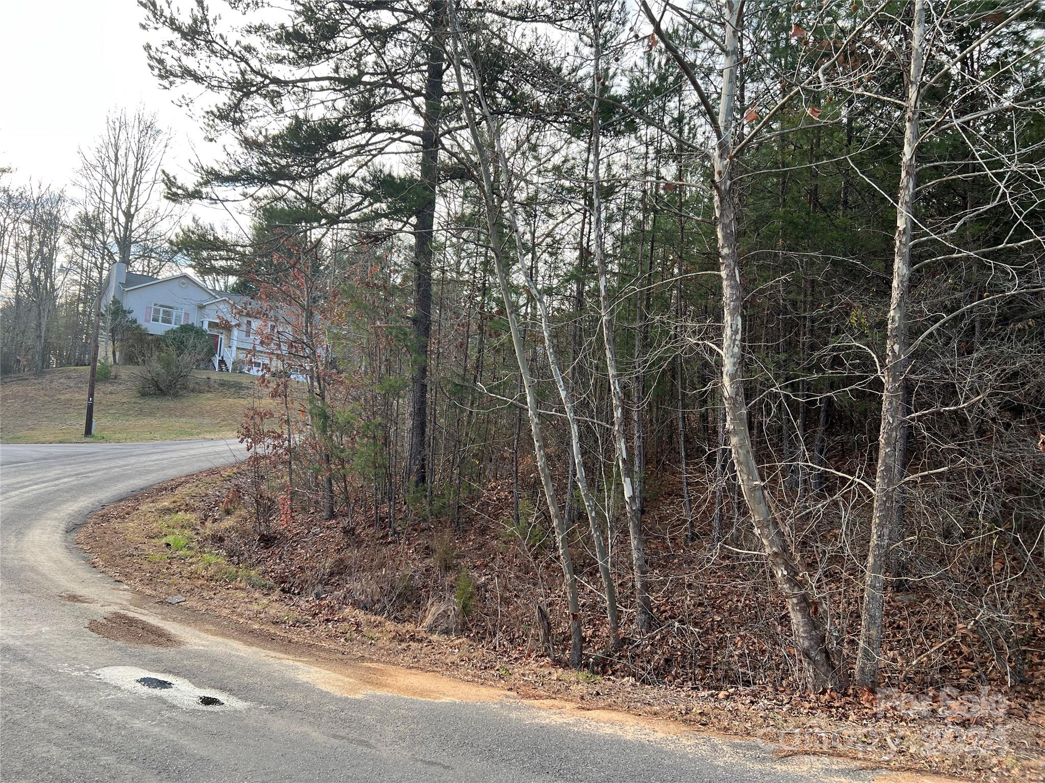 309 Georgetown Road Lenoir, NC 28645 - Photo 3 of 8