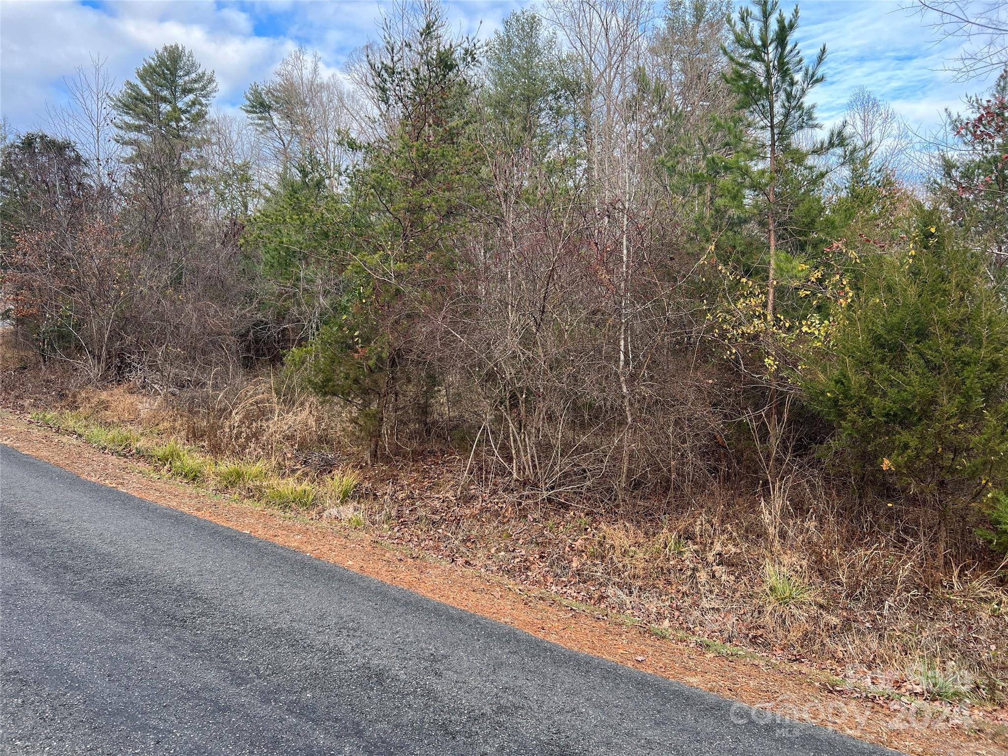 309 Georgetown Road Lenoir, NC 28645 - Photo 4 of 8