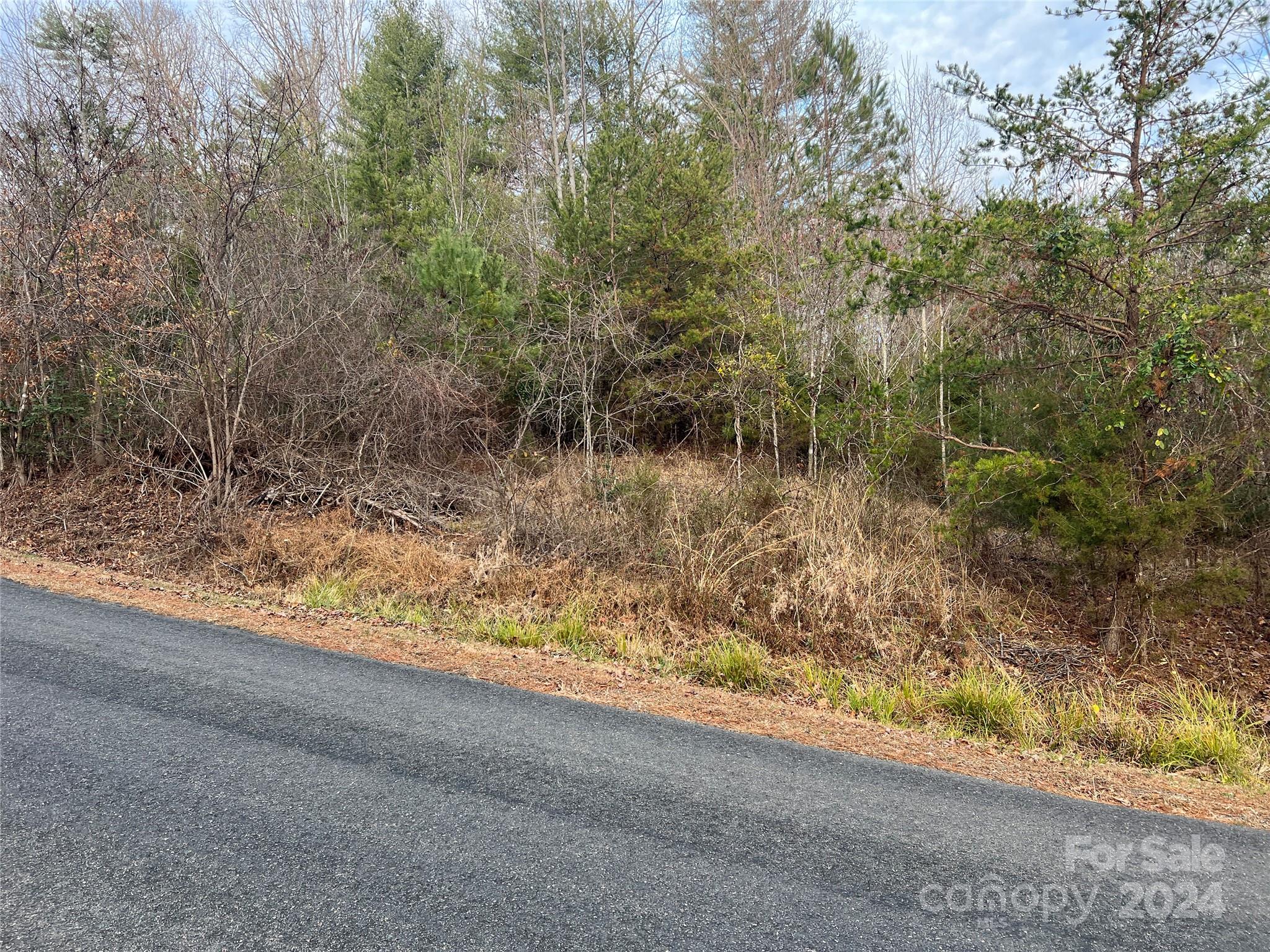 309 Georgetown Road Lenoir, NC 28645 - Photo 5 of 8