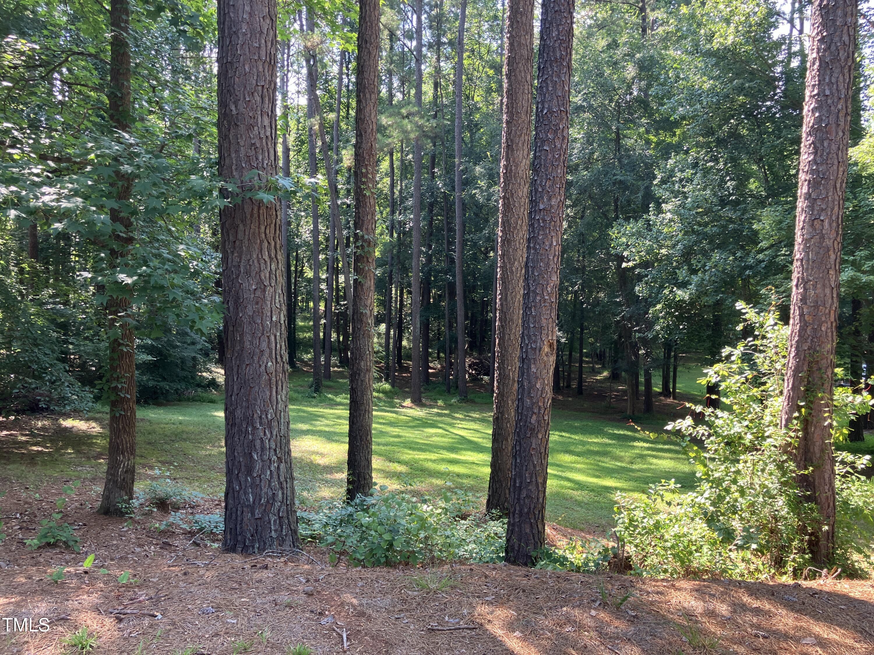 619 Rudy Drive Clayton, NC 27520 - Photo 33 of 36 IMG_2144