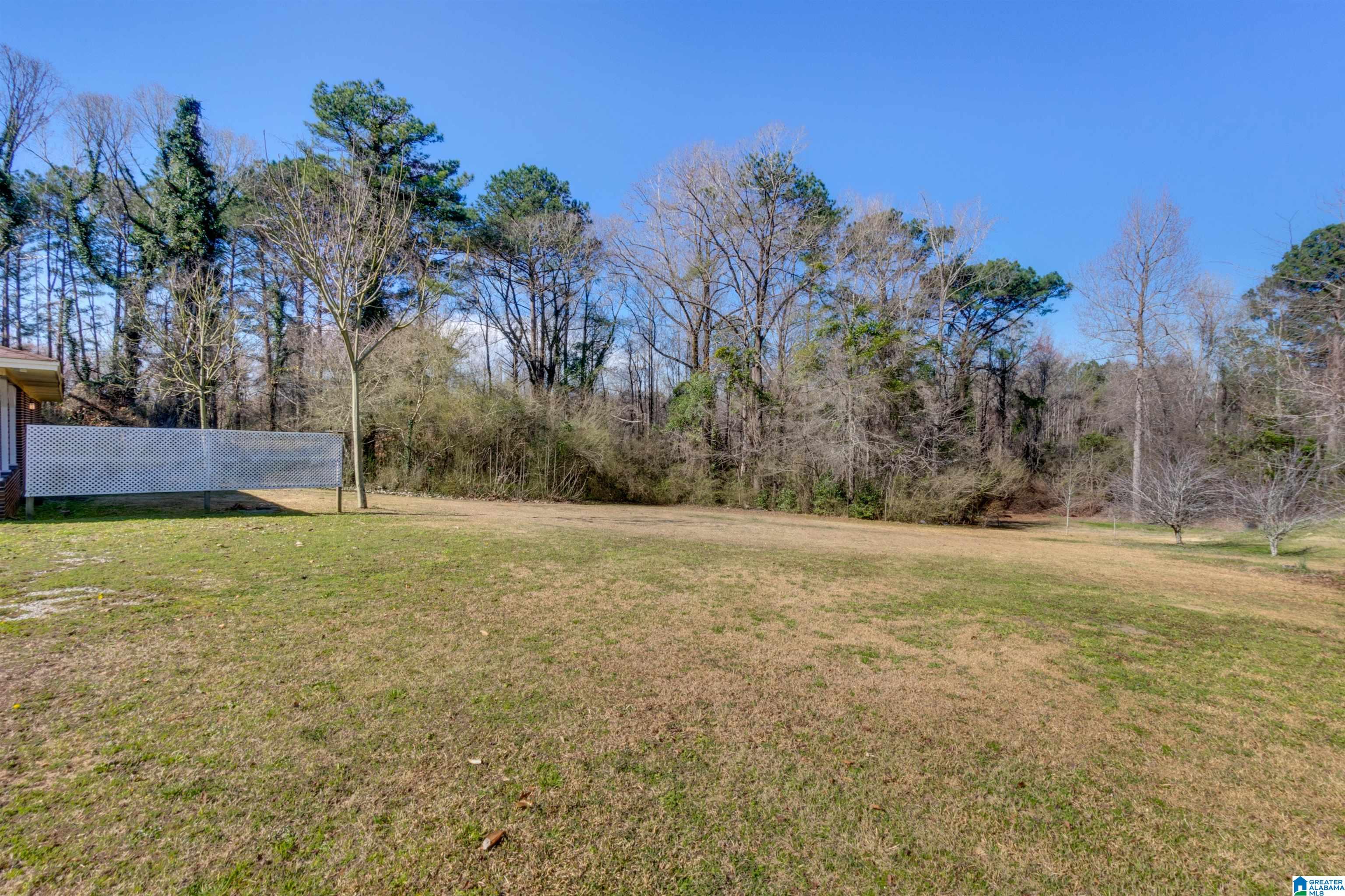 100 Kevin Lane Clanton, AL 35045 - Photo 36 of 38