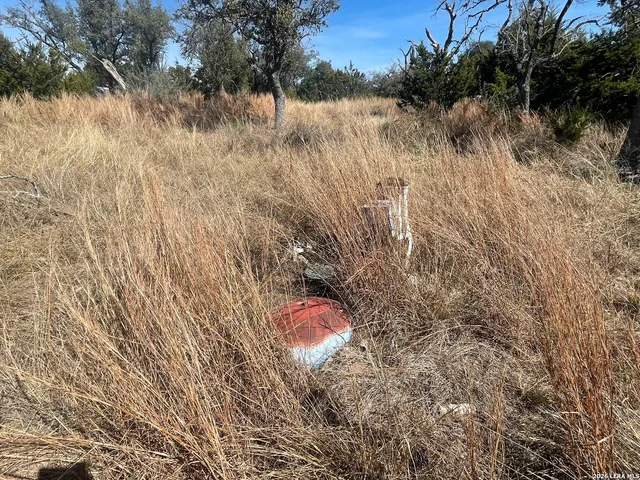 $350,000 | 11208 Highway 290, Harper, TX 78631