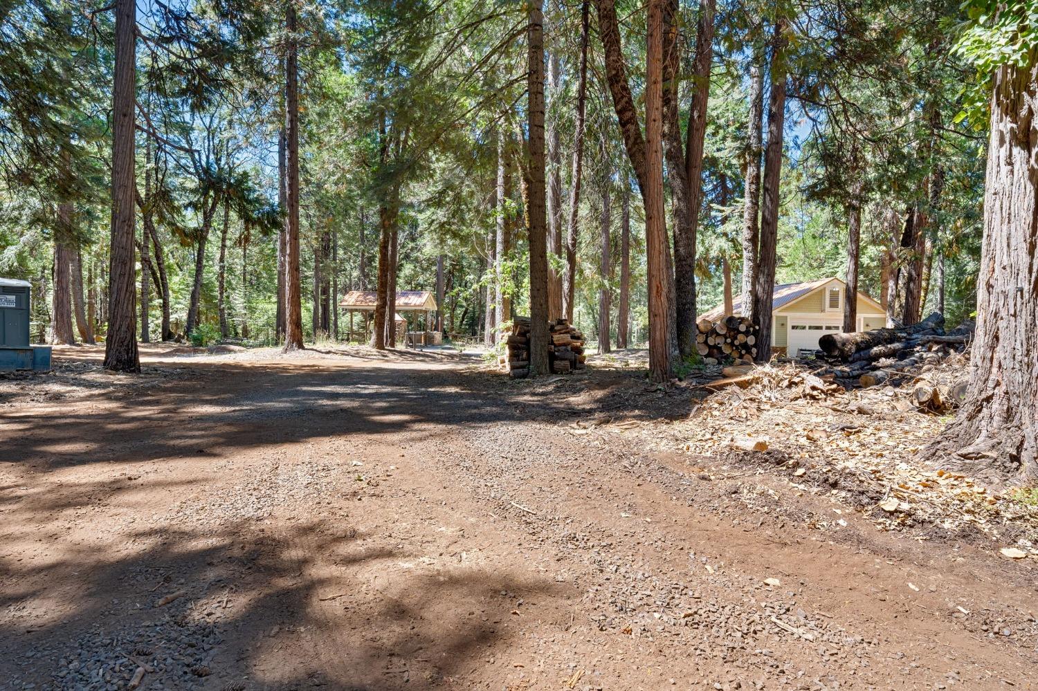 740 Hideaway Loop Alta, CA 95701 - Photo 52 of 74