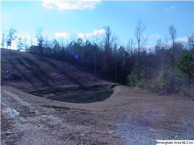 472 Tumblin Mill Road Heflin, AL 36264 - Photo 30 of 32