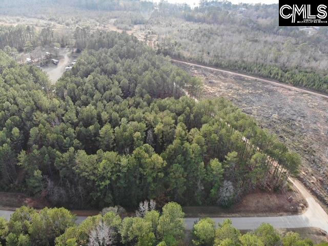 Lot 104 Pineland Road Chappells, SC 29037 - Photo 22 of 25