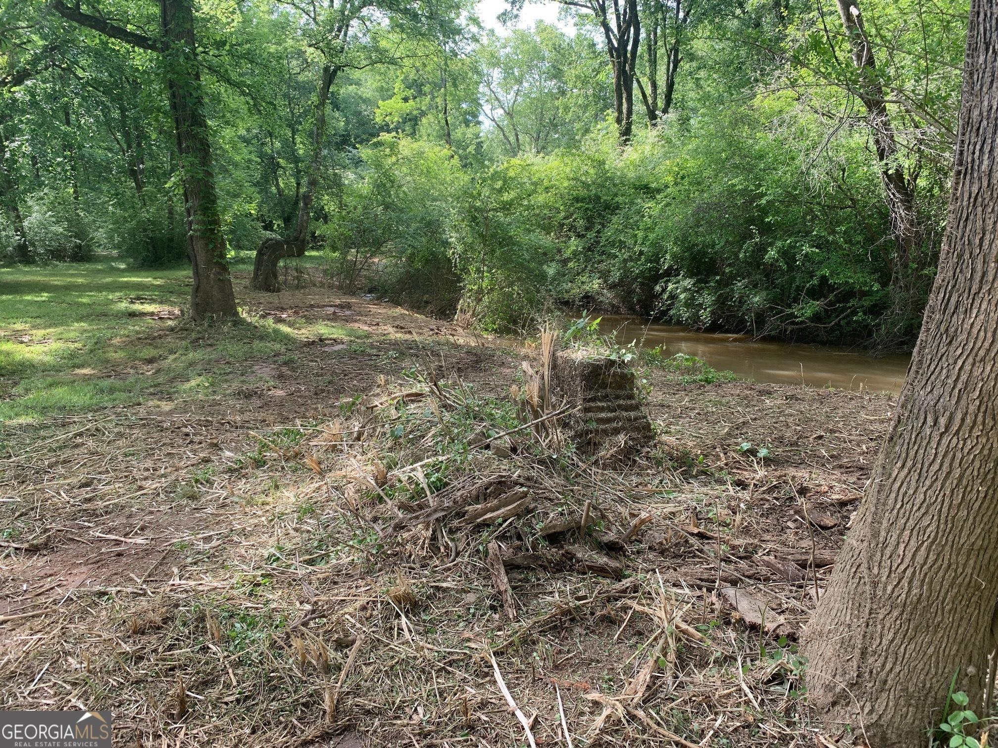 0 Sportsman Club Road Grantville, GA 30220 - Photo 19 of 46 a backyard of a house with lots of green space
