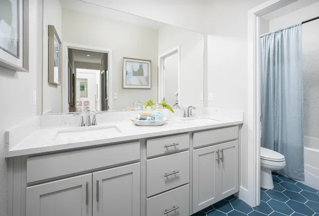 a bathroom with a double vanity sink toilet and a mirror